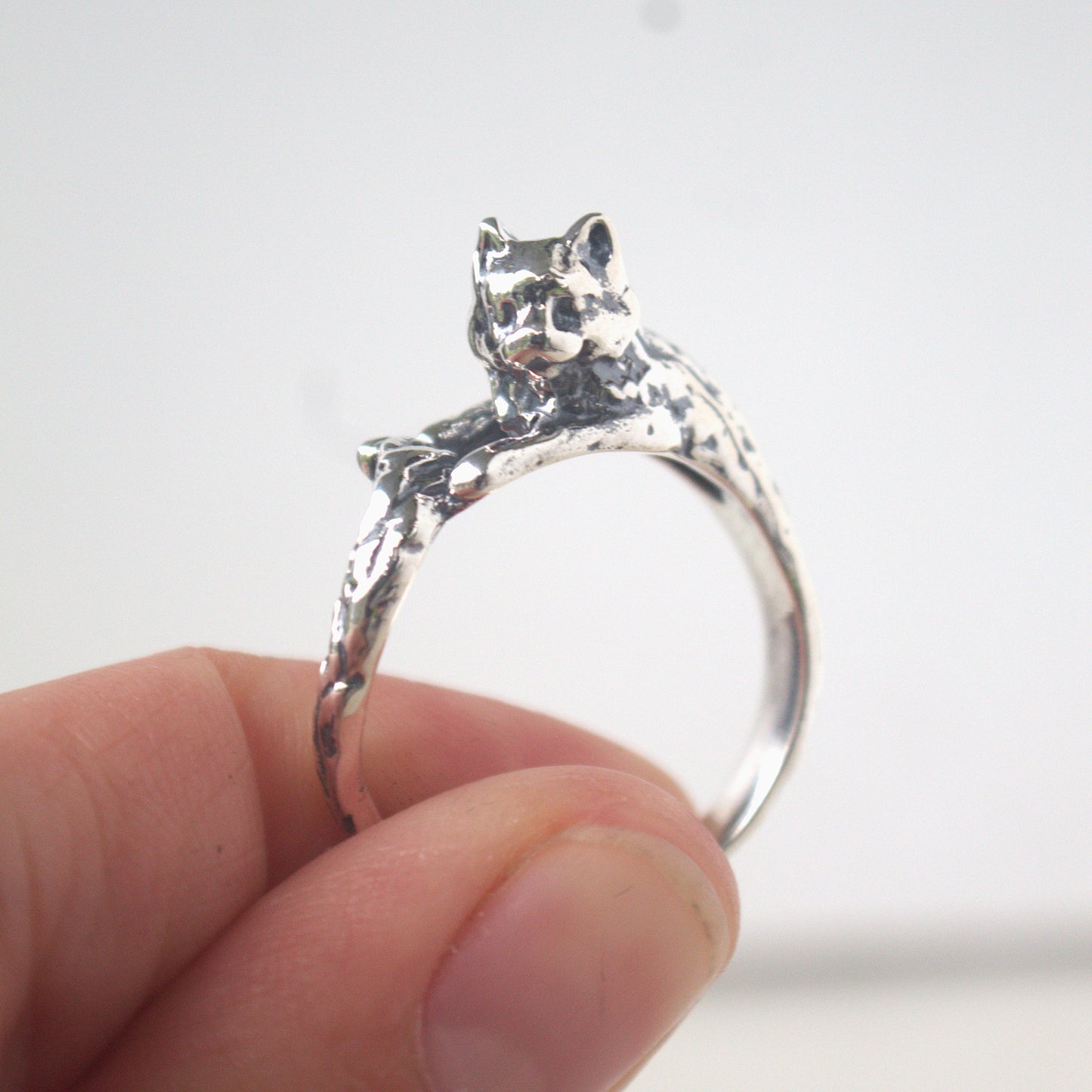 Bands and cat ring for Mitch